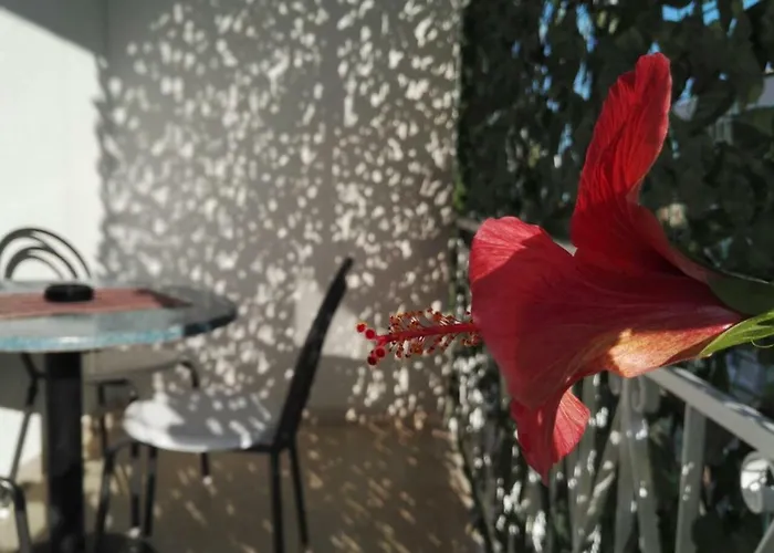 Jadranka Appartement Makarska